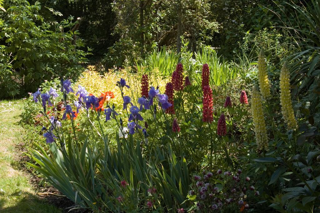 Shola Coach House B&B Coleraine Bagian luar foto