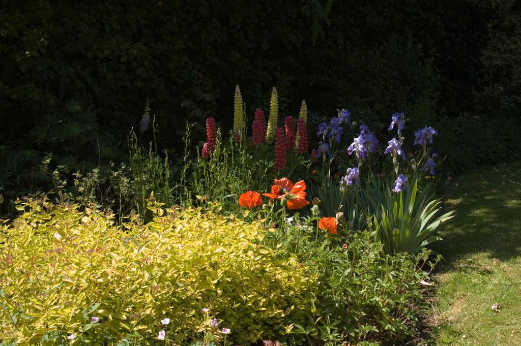 Shola Coach House B&B Coleraine Bagian luar foto