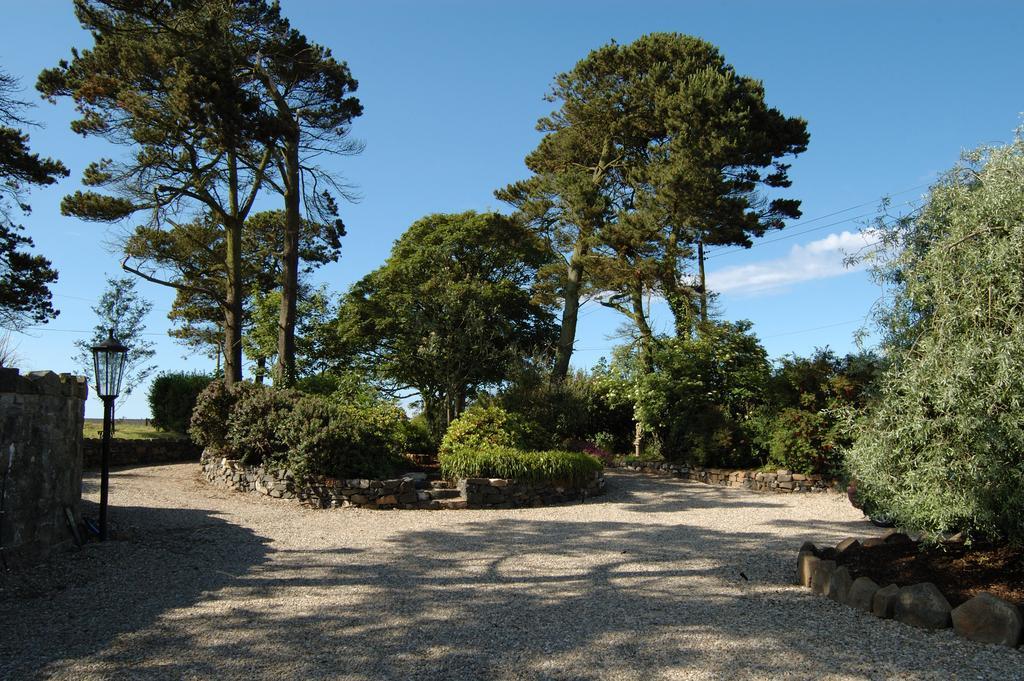 Shola Coach House B&B Coleraine Bagian luar foto